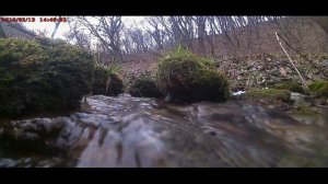 Истоки реки Ташла