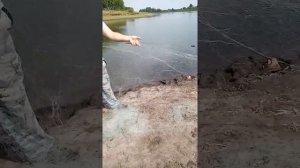 Рыбалка в Кораблино, Рязанской области!!!!