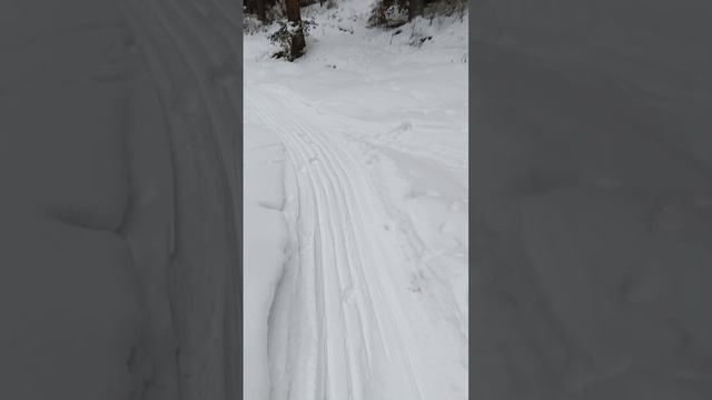 мотобуксировщик м 760 на подъём как??? смотреть онлайн