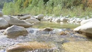 Нежный звук реки ✨