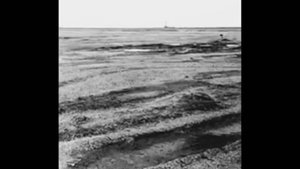 Грифон в бурении