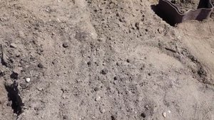 Звездные грядки для кабачков