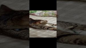 1000004373.mp4