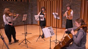 Beautiful Nordic Folk Tunes by VSO Musicians.