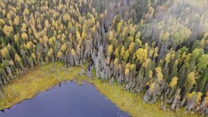 Кочкурга 2018, Устьянский район