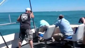 акула укусила за ногу поймавшего ее рыбака