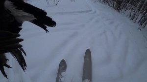 Охота на тетерева с чучелами, 5 февраля 2023 г