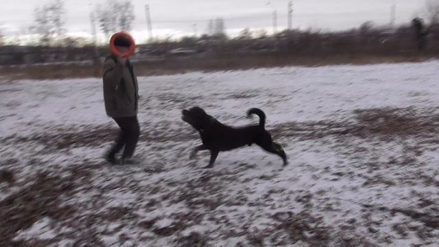 Все татары кроме я смотреть онлайн