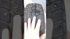 Зимние шины. Шипы. Ecovision W-686 215/60 R16