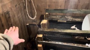 Курятник на 100 кур несушек