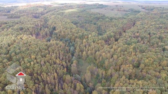 Аэросъемка природы Татарстана (с.Семиозёрка/Осень)