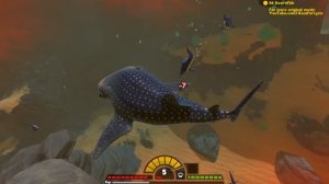 КИТОВАЯ АКУЛА ПРОТИВ 1000 РЫБ-МЕЧЕЙ, БИТВА АКУЛ | Feed and Grow Fish