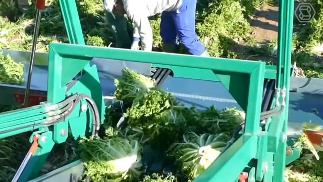 55 Most Satisfying Agriculture Machines and Ingenious Tools