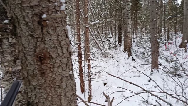 Охота на волка флажками. смотреть онлайн