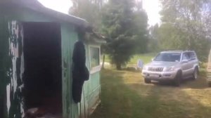 Тверская область, Старицкий муниципальный округ, д. Степурино (часть 2)