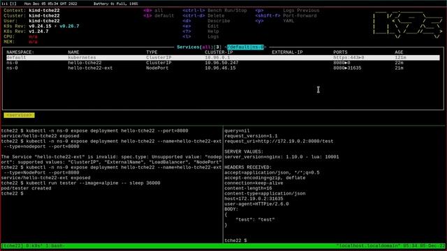Segurança em Clusters Kubernetes com Calico - Walter Neto смотреть онлайн