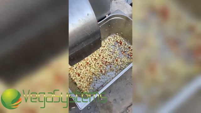 Нарезка кубиком яблока Vega Dicer 400, овощерезка промышленная