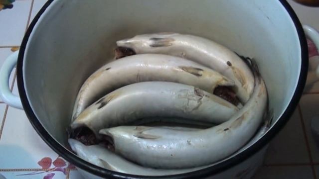СКУМБРИЯ ХОЛОДНОГО КОПЧЕНИЯ В ДОМАШНИХ УСЛОВИЯХ/Как вкусно коптить рыбу скумбрия РЕЦЕПТ. Smoked fis