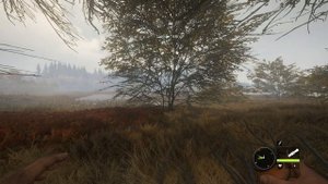 theHunter Call of the Wild #4 - Охота на Койотов - Озерный край Лейтон
