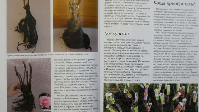Обзор Книг по Пионам