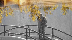 ДОЖДИК  ОСЕНИЙ