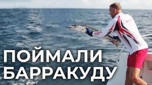 РЫБАЧИМ НА СЕЙШЕЛАХ УДАЧНЫЙ УЛОВ БАРРАКУДА | GOLD MARLIN