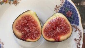 Инжир сорт Харди Чикаго в разрезе. Hardy Chicago fig