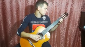 119. Ф. Карулли / Этюд / исполняет Вячеслав Замчалкин