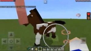 Секретные вещи в Minecraft PE