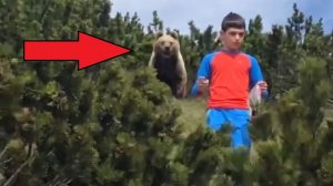 Еженедельная подборка лучших видео #2. Мальчик уходит от медведя