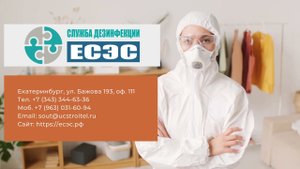 Дезинфекция помещений