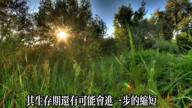 【乐厨怡妈】人到60歲沒有這3種病，基本可以輕松活過90歲，希望你一個也不佔。