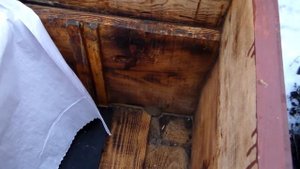 ЛЕЖАК зимовка, сборка гнезда в зиму.