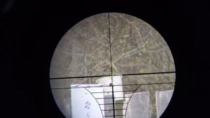 Хатсан ат 44 ра стрельба на 100 метров
