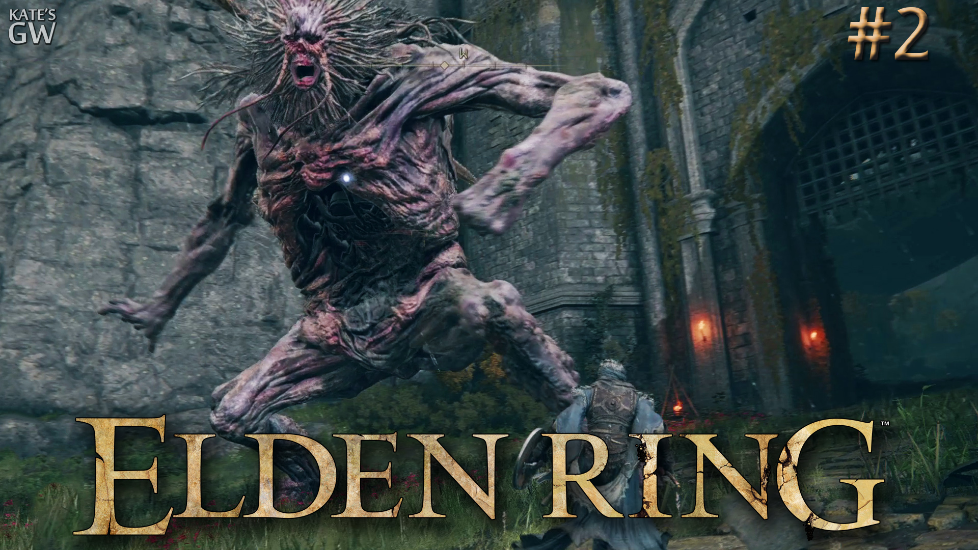 Элемер из шипов elden ring