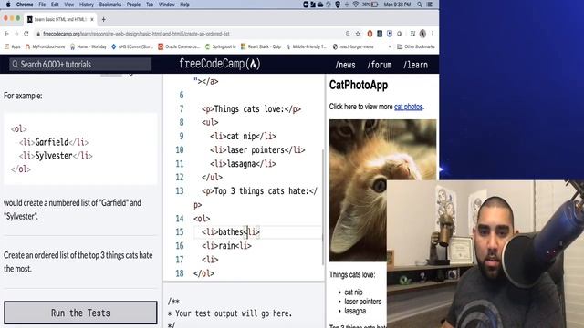 Doing the HTML section of FreeCodeCamp with commentary to help you!