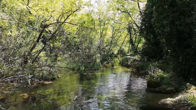 Прогулка с мамой. Весна. Фоновый видеоряд для творческих и развивающих занятий с детьми. смотреть онлайн