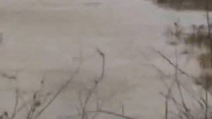 Наводнение в Должанской 24.09.2014