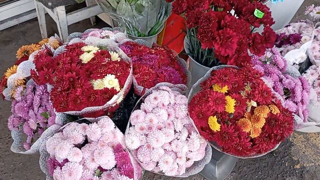 Красивые осенние цветы. Украина 2022. Beautiful autumn flowers. Ukraine 2022. смотреть онлайн