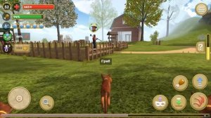 КАК ПОБЕДИТЬ САМОГО СИЛЬНОГО БОССА в ИГРЕ СИМУЛЯТОР КОТА и КОШКИ