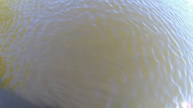 Как я мог забыть?/Поиск золота на пляже с лучшим подводным металлоискателем Minelab Excalibur II/ смотреть онлайн