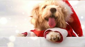 новогодние животные