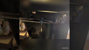 Лодочный мотор Меркурий 60 4т. Замена масла в редукторе! часть 2