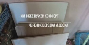 ЖИВЕМ В СТАНИЦЕ? КОГТЕТОЧКА СВОИМИ РУКАМИ ? ЧЕРЕНОК ВЕРЕВКА И ДОСКА