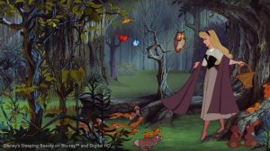 Aurora's Forest Friends | Sleeping Beauty | Disney Princess