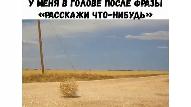 Лютые приколы интернета.