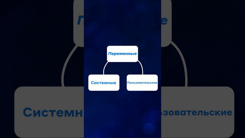 Как работать с переменными // TWIN BOTS