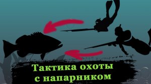 Тактика подводной охоты с напарником. Наш опыт