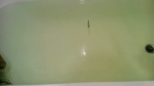 Обзор и подбор игры зимней блесны на судака от компании Yapada