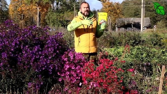 ЗАСТАВИМ ТРИХОДЕРМУ РАБОТАТЬ И ЗИМОЙ! При какой температуре работает триходерма? Триходерма на зиму смотреть онлайн